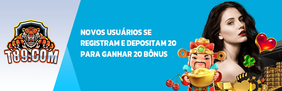 bingo slots jogo